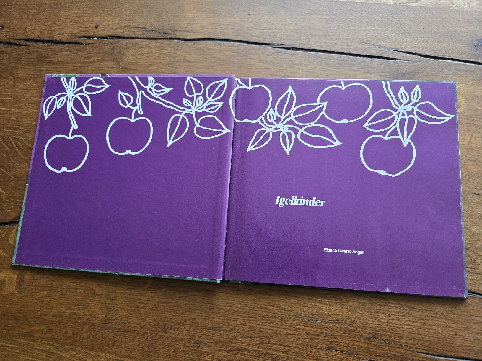Libri: Igelkinder Buch von Else Schwank-Anger - – Usato da Wittenbach venduto da Tigerlili 1