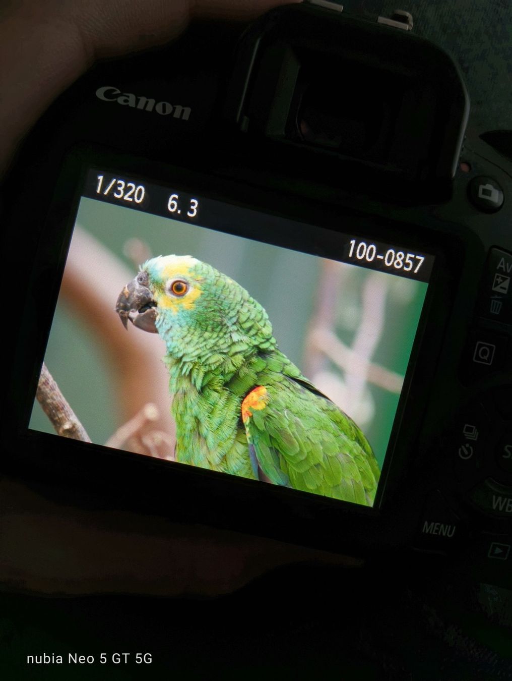 Canon Kamera: Canon EOS 1300D Set // WIE NEU – Gebraucht aus Dagmersellen von Koenigsegg1 7