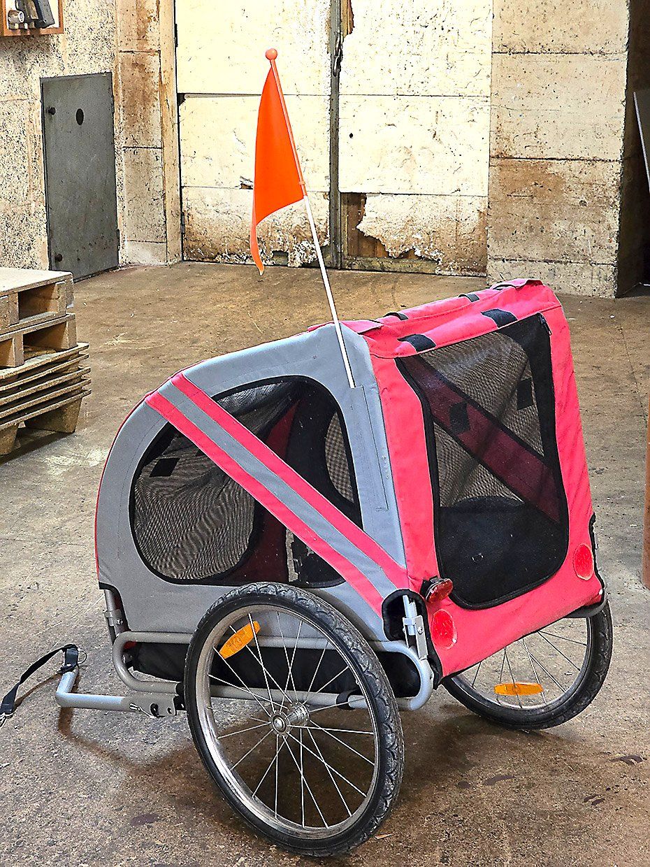 Anhänger: Hunde Fahrrad Anhänger - Karlie Doggy Liner – Gebraucht aus Henau von tbu_prl7 1