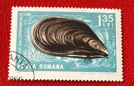 Briefmarke aus Rumänien gestempelt   ﻿ Siehe Original Fotos 