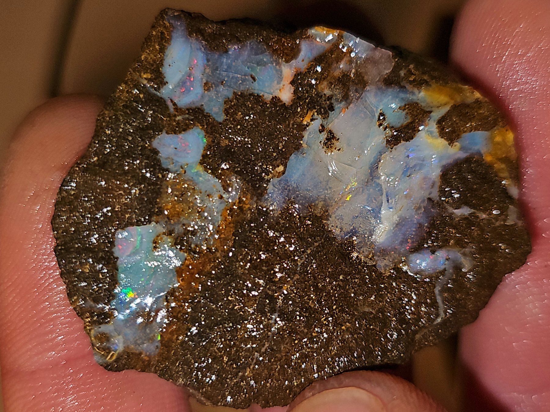 Pietre preziose: Grosser Australischer Boulderopal Rohstein – Nuovo e nell'imballaggio originale da Uerkheim venduto da Winwinner 2