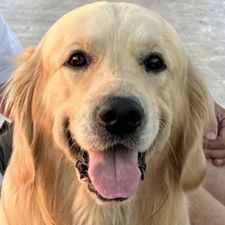 Profile image of JazzyHaempi