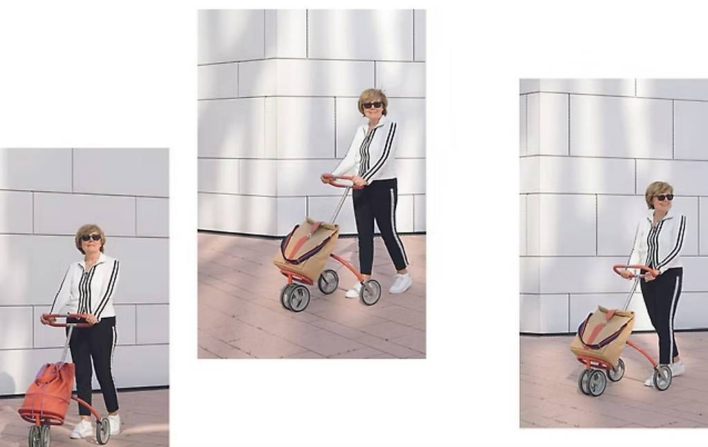 Sonstiges für Haushalt & Wohnen: Citycaddy - Einkaufstrolley - Rollator – Gebraucht aus St. Antoni von onyx225 1