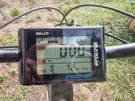 Fischer Ebike mit Rücktritt