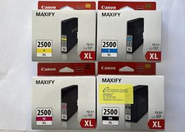 4 Stk. Original Canon PGI-2500XL Patronen in Multipack