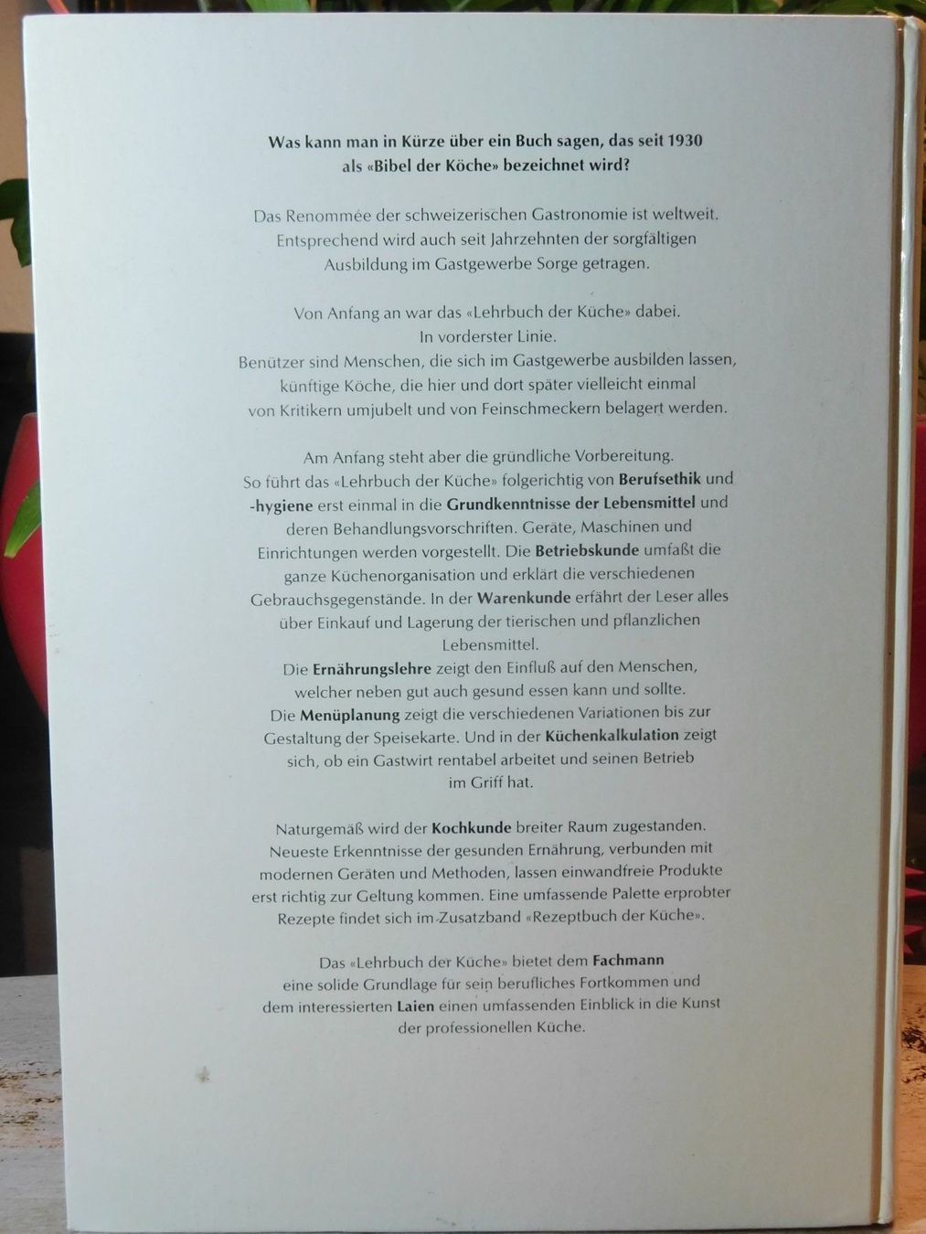 Libri: PAULI LEHRBUCH DER KÜCHE 1992er – Usato da Emmenbrücke venduto da Ulisse-22 1