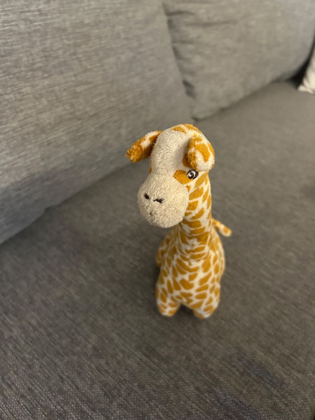Giocattoli: Giraffe Kuscheltier – Usato da Wabern venduto da belka72 2
