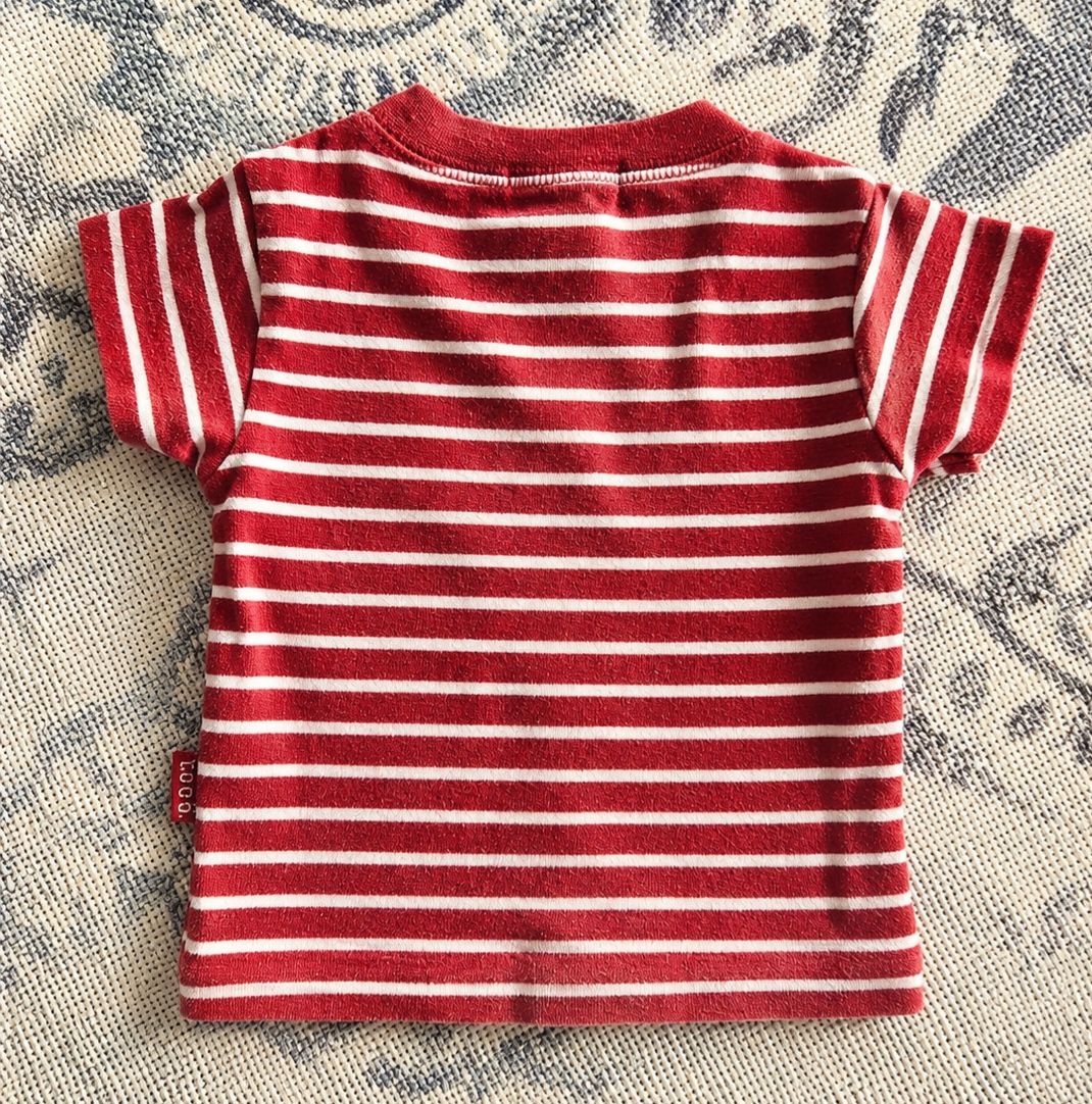 H&M Camicie, Top & T-shirt: Baby T-Shirt 62 – Usato da Zürich venduto da Kris8050 1
