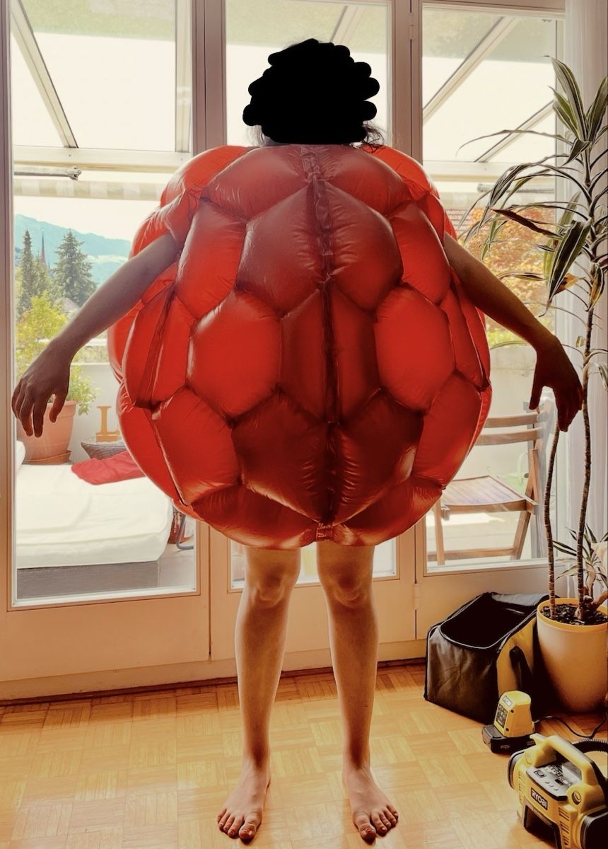 Spielzeuge: Aufblasbare Bubble Bumper Balls (Himbeere)  – Gebraucht aus Zug von ste_6pxf