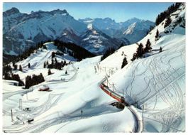 Villars - Zug Richtung Col de Bretaye