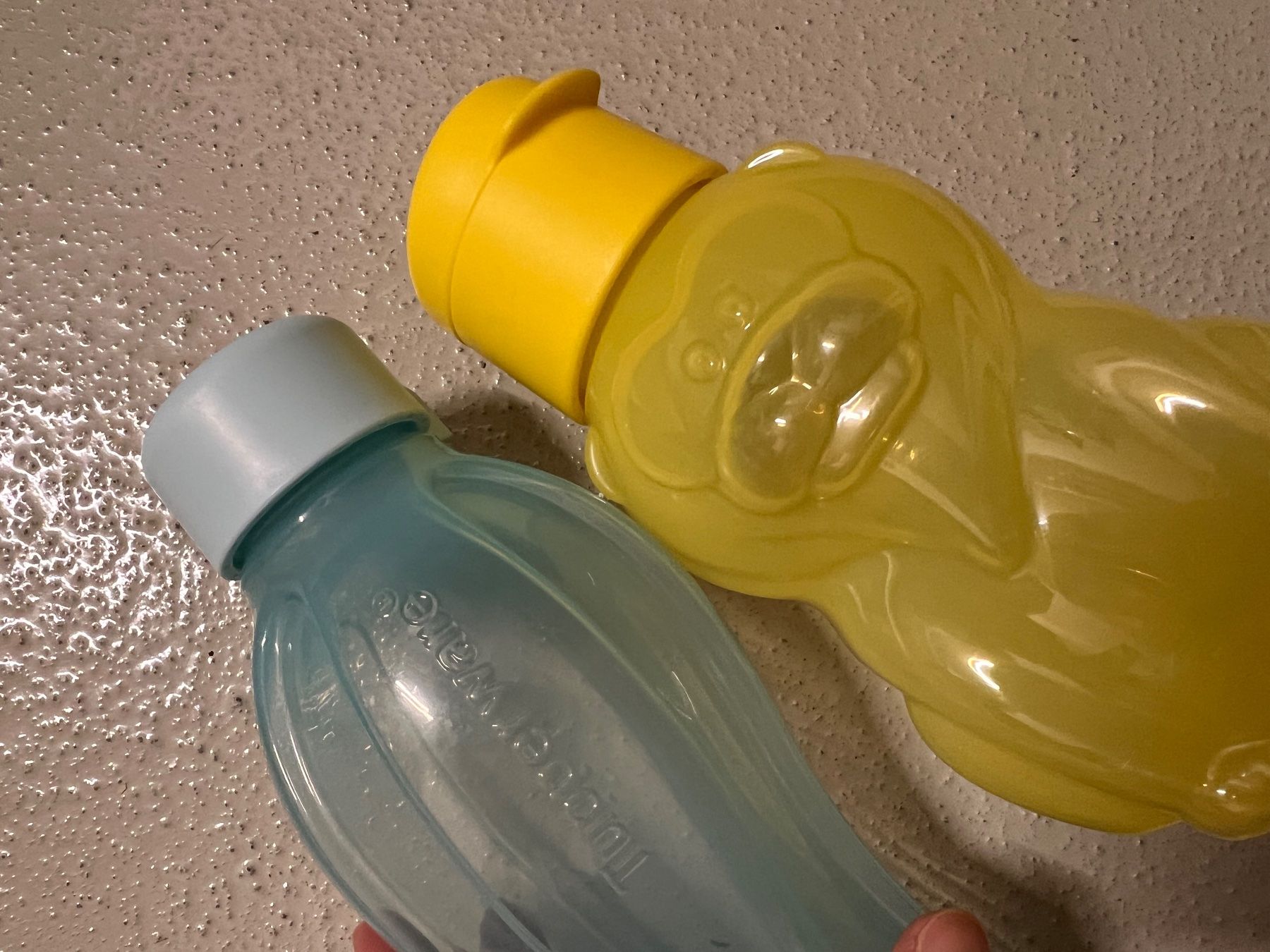 Tupperware Gourdes & Thermos: Tupperware Flaschen 500ml + 350 ml – D'occasion à Ittigen par san_9pr8 1