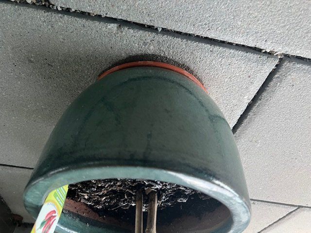 Vasi per fiori: 5 Keramik-Blumentöpfe – guter Zustand – Usato da Niederweningen venduto da zw4_s78j 2