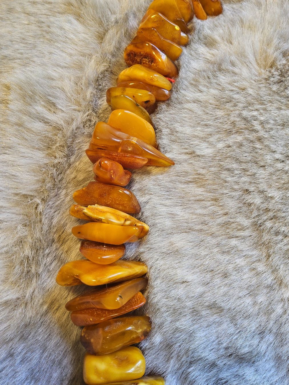 Catenine: Grosse dicke Bernstein Butterscotch Halskette Collier – Usato da Zürich venduto da SciTec 6