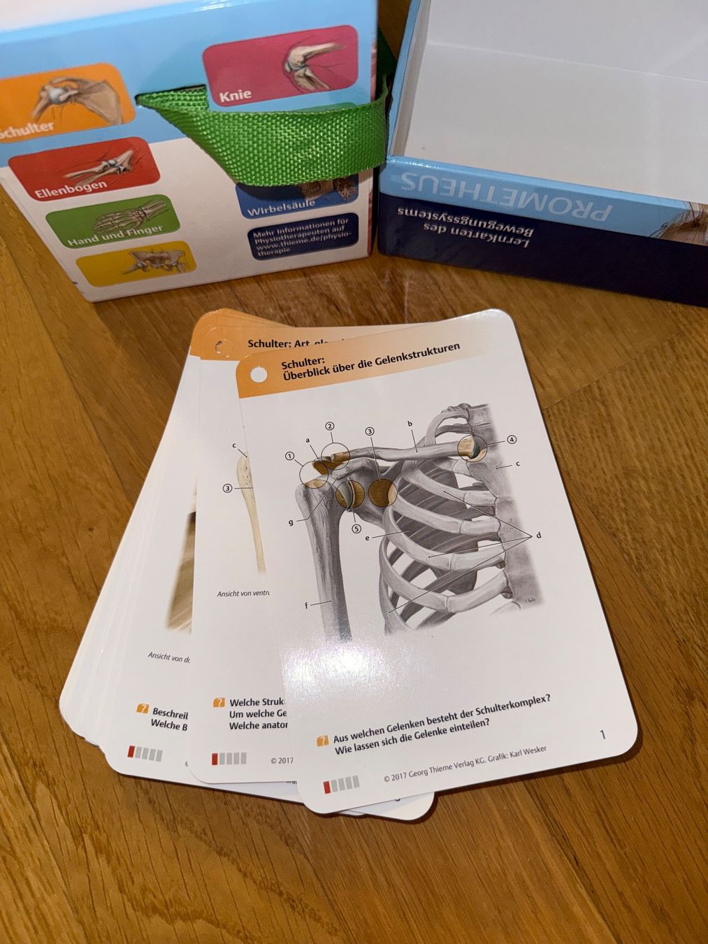 Altro materiale scolastico: Prometheus LernKarten des Bewegungssystems – Usato da Massagno venduto da mic_rpj6 2