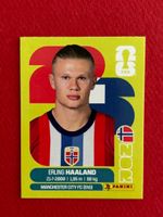 Erling Haaland Top Zustand! NEU und unbenutzt!! WM 2026