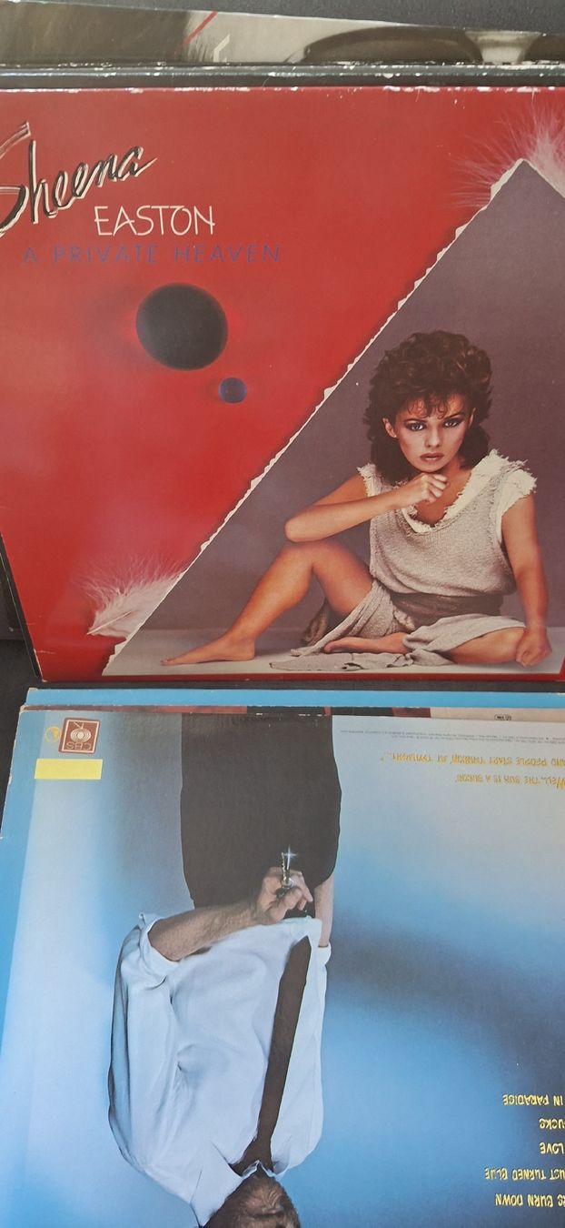 Dischi in vinile: Kleine Schallplatten Sammlung  – Usato da Riehen venduto da Steinbock1970 3