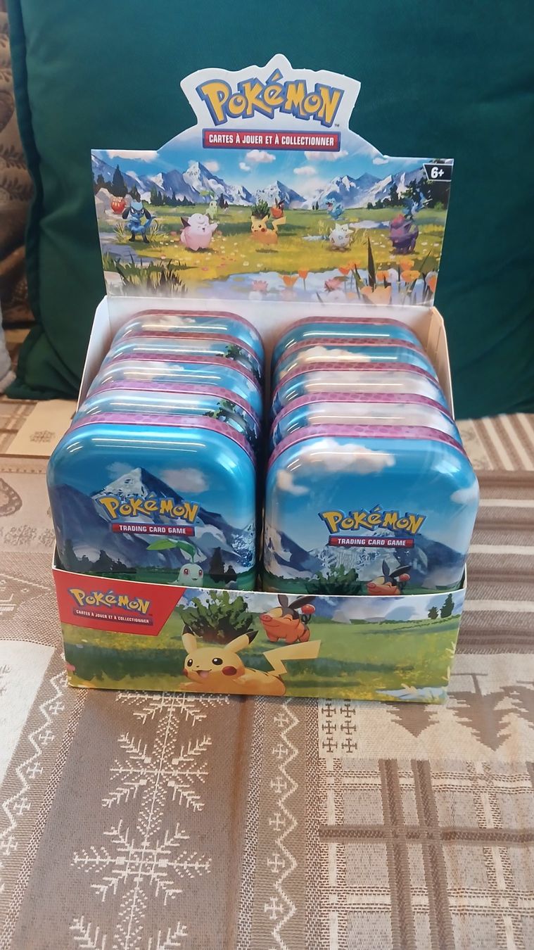 Pokémon Cartes à collectionner: Display mini tin pokemon vide – D'occasion à Condémines (Nendaz par Dr.Sub