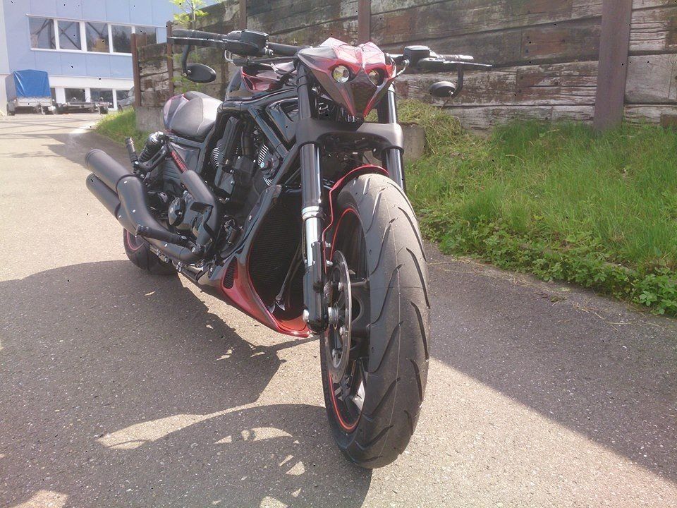 Harley-Davidson Chopper: Harley Davidson Night Rod Special – Nuovo (secondo la descrizione) da Ibach venduto da Dragstar74 1
