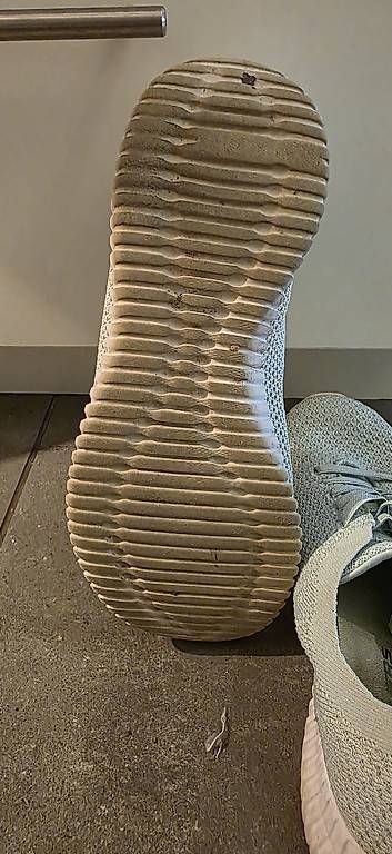 Scarpe da donna: Sketchers  – Usato da Volketswil venduto da JaMiLeAn 3