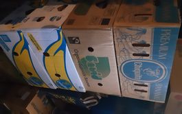 500 lps Schlsger,volkstümlich,oberkrainer,blasmusik,orchest