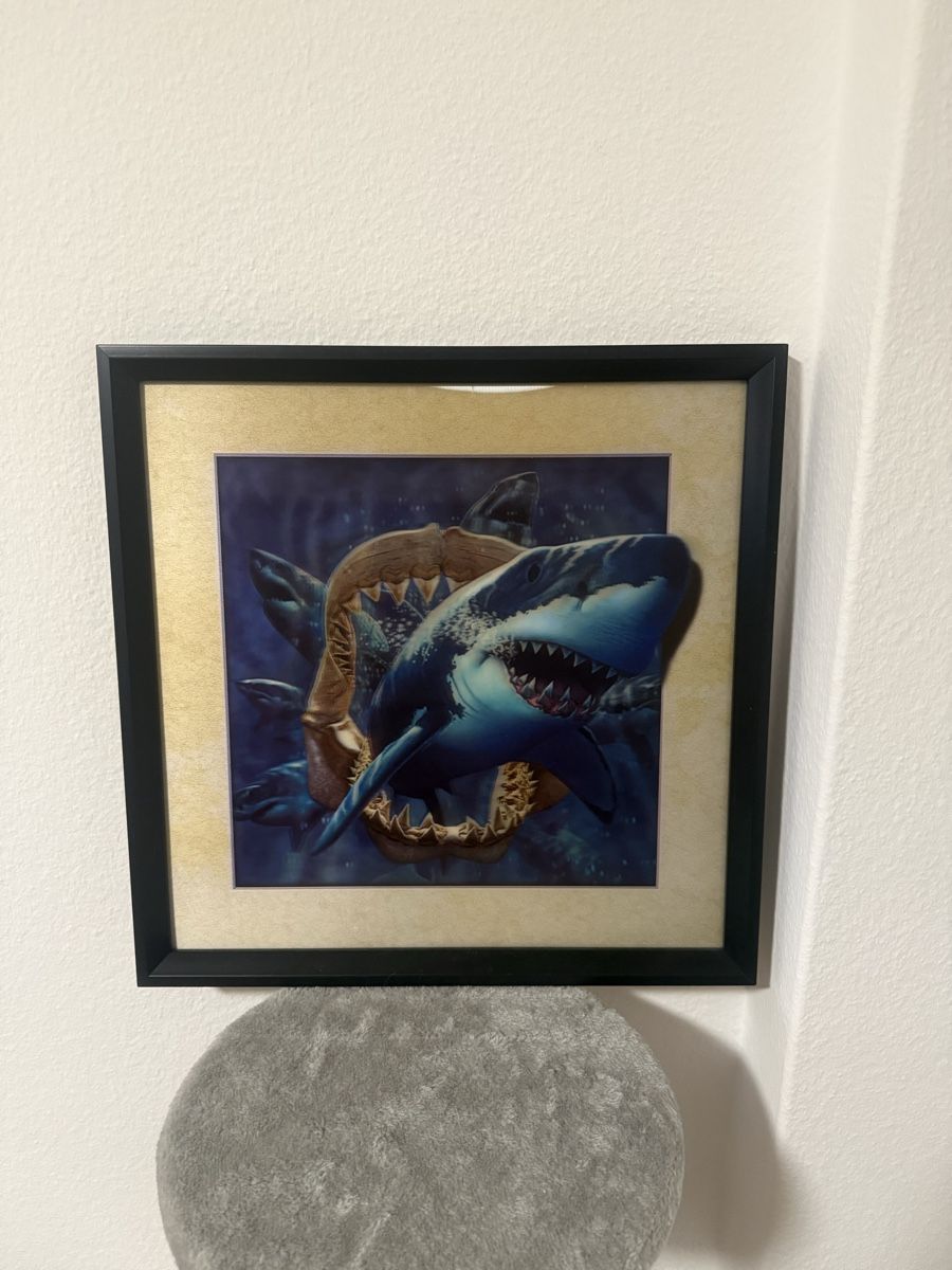 Foto & Immagini: Haifisch-Bild eingerahmt mit coolem 3D Effekt – Nuovo (secondo la descrizione) da Zürich venduto da isabellaferrarx