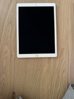 Apple iPad Pro 12.9 Zoll 2. Generation gebraucht