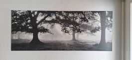 Bild Wald, 140 x 57