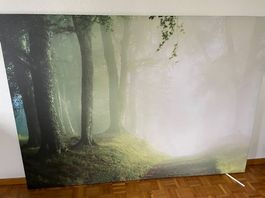 Sehr grosses Leinwandbild, 200x140cm, sehr guter Zustand