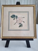 Wohl Aquarell Rosenbild, gerahmt, mittig signiert I. Thivin