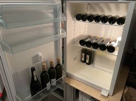 Kühlschrank Liebherr IK 1700 20G