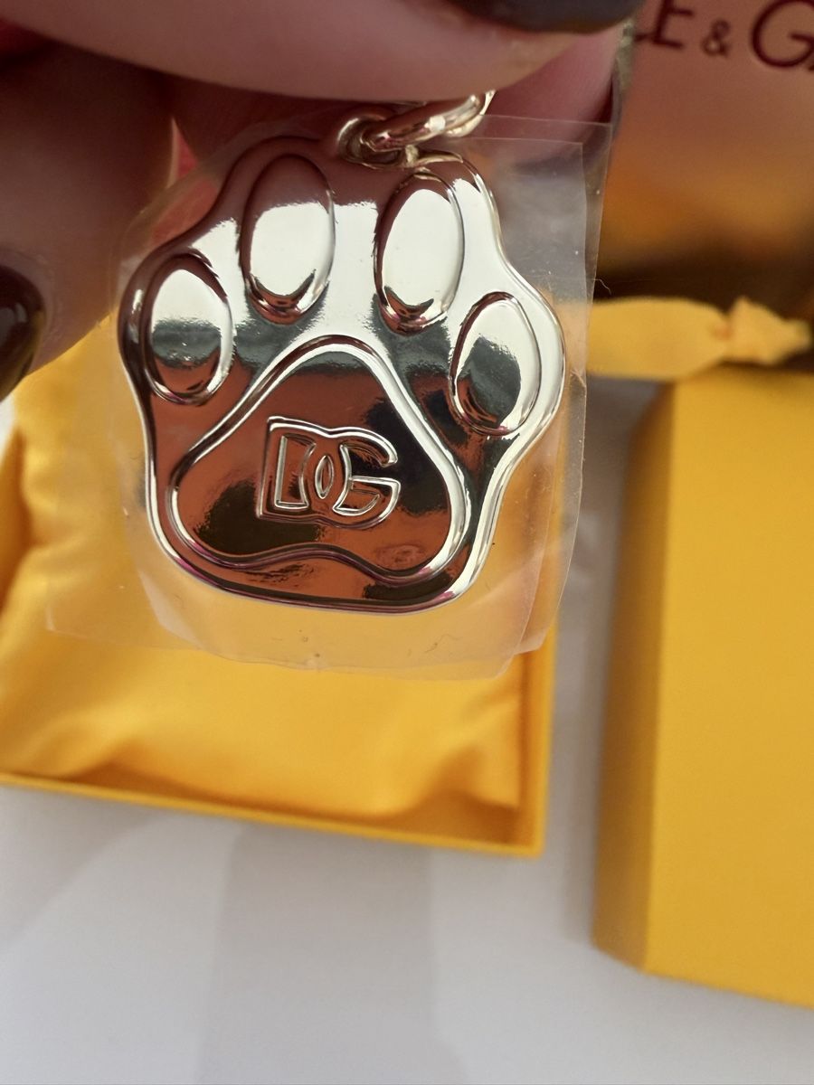 Guinzagli & Collari: D&G dog collar – Nuovo e nell'imballaggio originale da Fahrweid venduto da Stellar_times 2