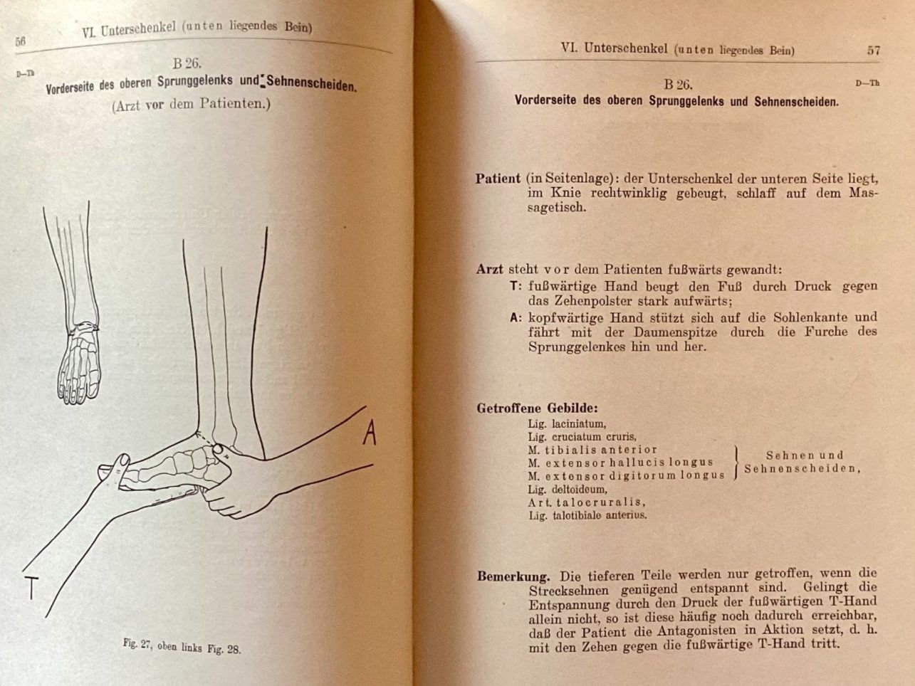 Libri: Lehrbuch der Massage, A. Müller, Technik undTheorie – Usato da Ronco sopra Ascona venduto da R66sA22 4