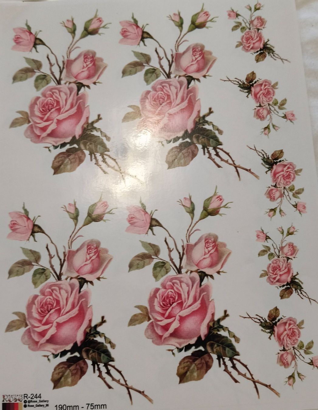 Tutte le decorazioni: Wassertransfer‑Sticker – Nuovo (secondo la descrizione) da Urtenen-Schönbühl venduto da sep_k9jk 1