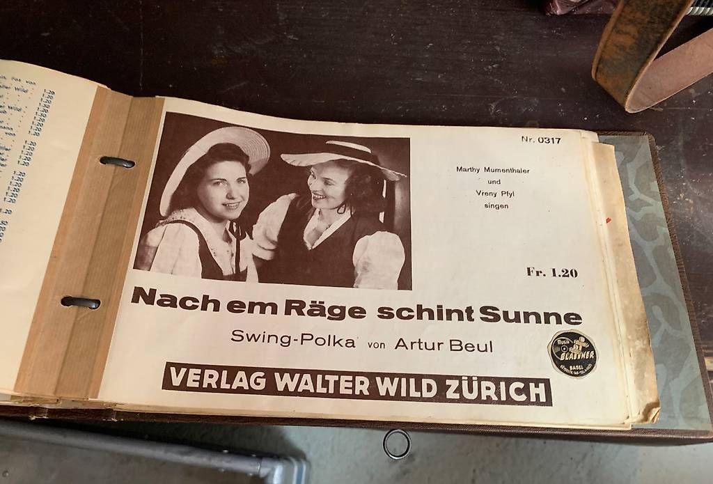 Strumenti musicali: alte Handorgel – Usato da Liestal venduto da redfive01 3