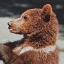 Profile image of Arthurius