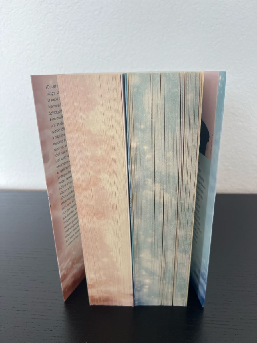 Bücher: Ayla Dade: Buchreihe: Sky Circus – Gebraucht aus Ufhusen von maxpayne93 1