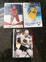 Lukas Walmark Fribourg Gotteron Hockey Card 
