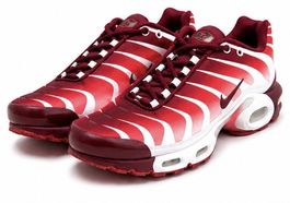 Nike Air Max TN
