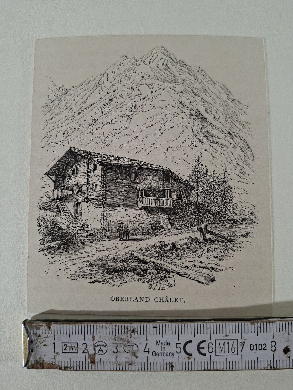 Incisioni: Lot 67, 10 Stiche  – Usato da Grindelwald venduto da carro5 7