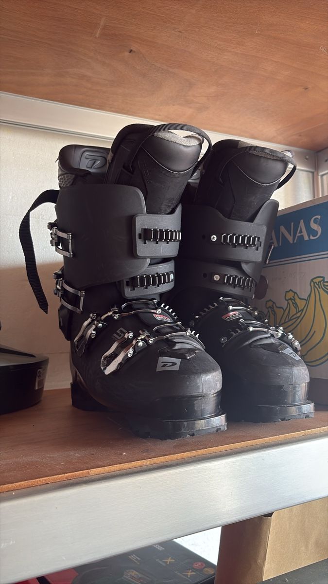 Herrenschuhe: Skischuhe Dalbello gr. 44 – Gebraucht aus Oberrüti von rom_96wb