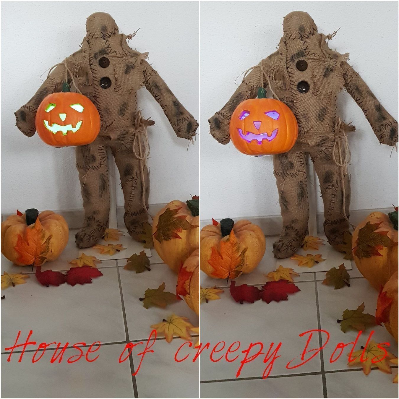 Puppen: HORROR/ HALLOWEEN KÜRBIS PUPPE – Neu (gemäss Beschreibung) aus Root von LifestyleAccessoires 2