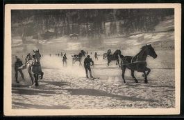 St. Moritz, Skikjöring auf dem St. Mori