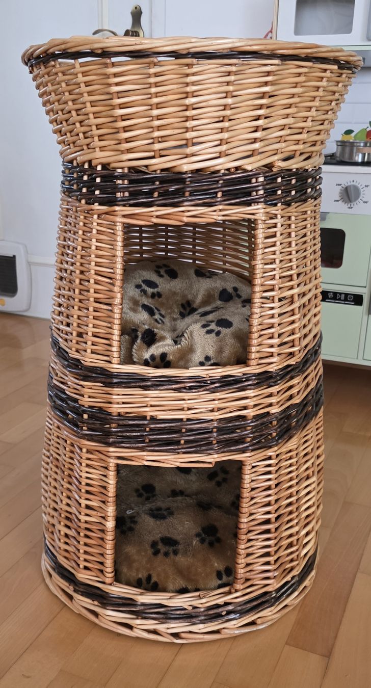 Swisspet Cucce & Letti: Katzen Doppelwohnturm – Usato da Suhr venduto da Design_by_Debi