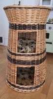 Katzen Doppelwohnturm