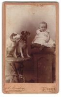 Fotografie A. Münzberg, Einbeck, Neuer 