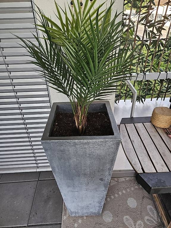 Pots de fleurs: Grosser Topf Betonoptik – D'occasion à Benken SG par Bernet92 1