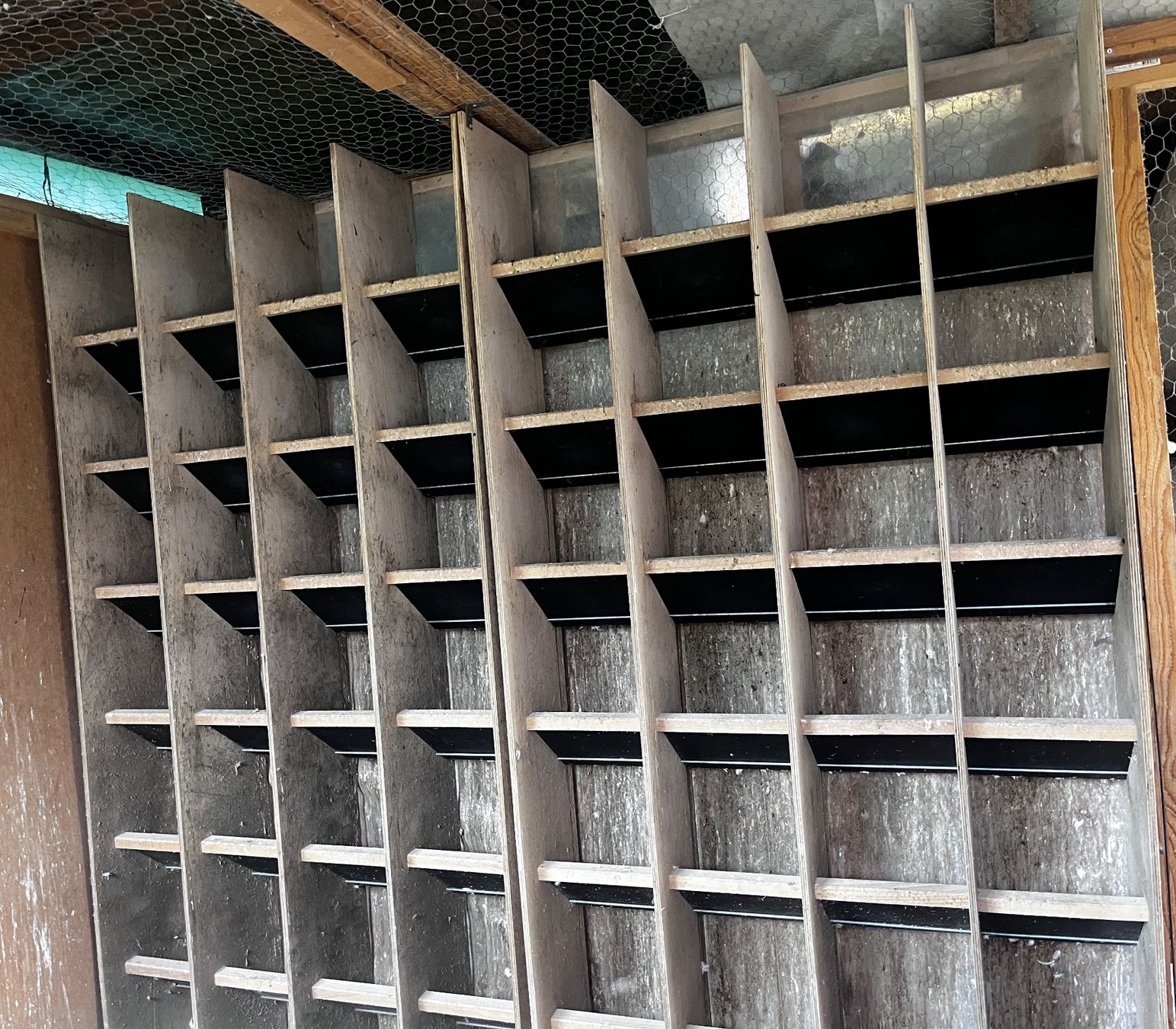 Regale: Gebrauchtes tauben sitzregal - Top Zustand! – Gebraucht aus Oberweningen von Achille.3