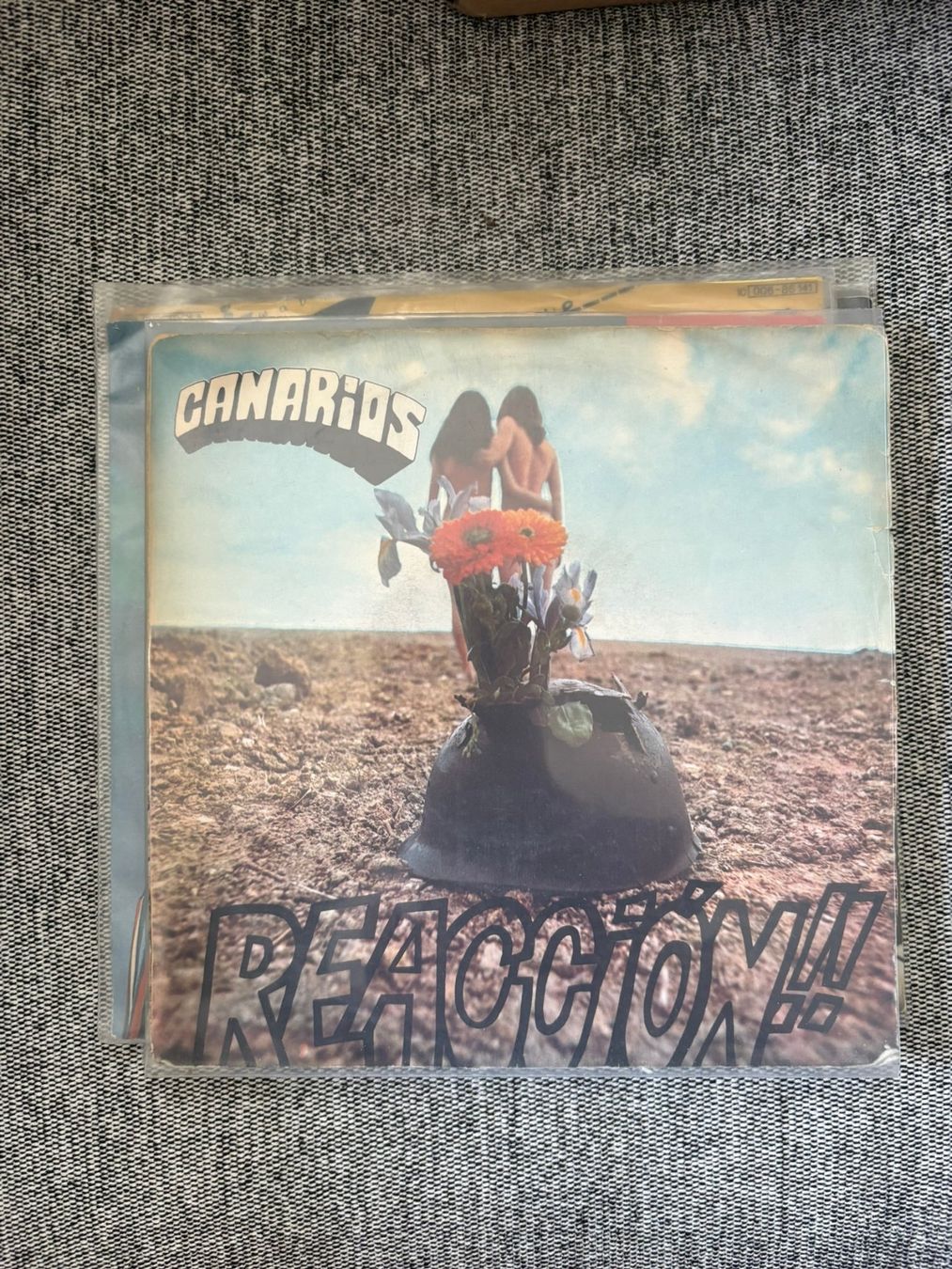 Schallplatten: Canarios - Reaccion – Gebraucht aus Zofingen von Bigron