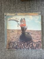 Canarios - Reaccion