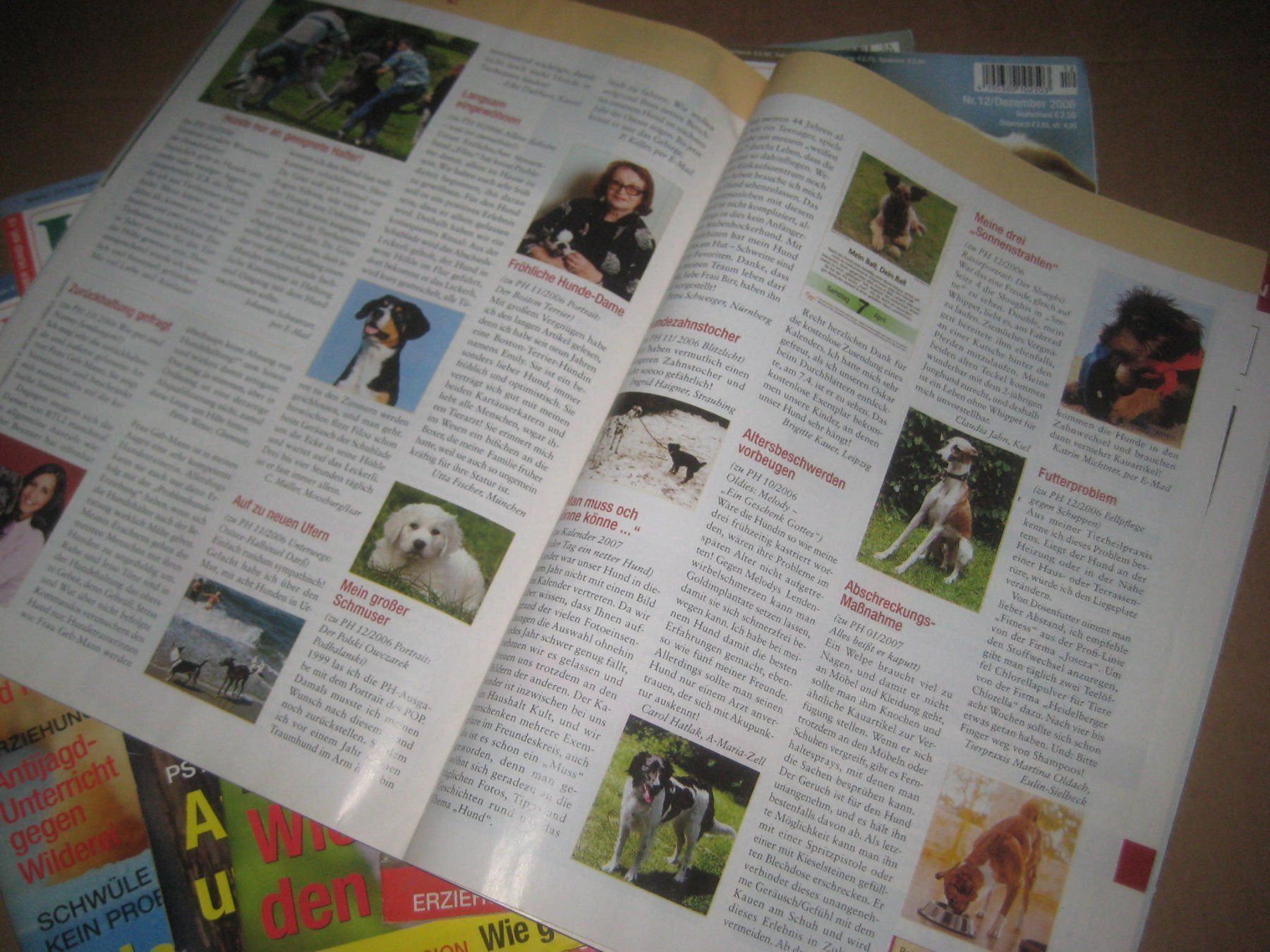 Riviste & Magazine: HUNDE   MAGAZIN – Usato da Uster venduto da flocke1 4